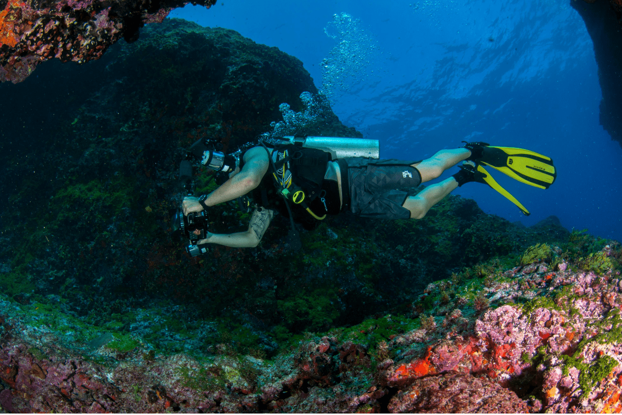 A view of a man scuba diving around a coral reel and wearing a black watch